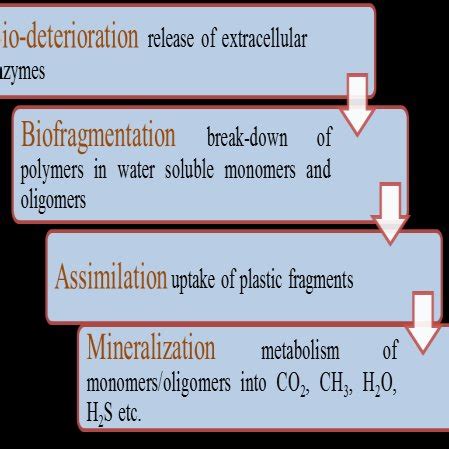 The process of biodegradation by microorganisms | Download Scientific Diagram