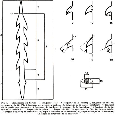 Harpoons from the Paleolithic