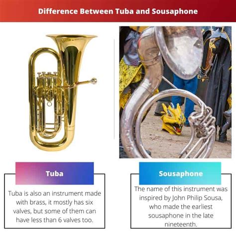 Tuba vs Sousaphone: Difference and Comparison