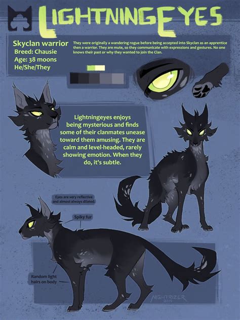 Lightningeyes Reference Sheet by Nightrizer on DeviantArt | Warrior ...