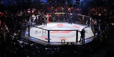 Live Stream UFC 282: Błachowicz vs. Ankalaev Worldwide