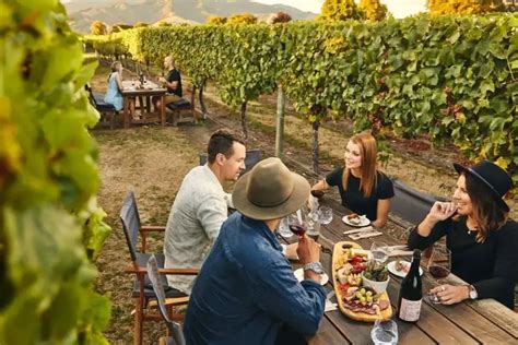 Best Wineries in Blenheim [+Options for Lunch]