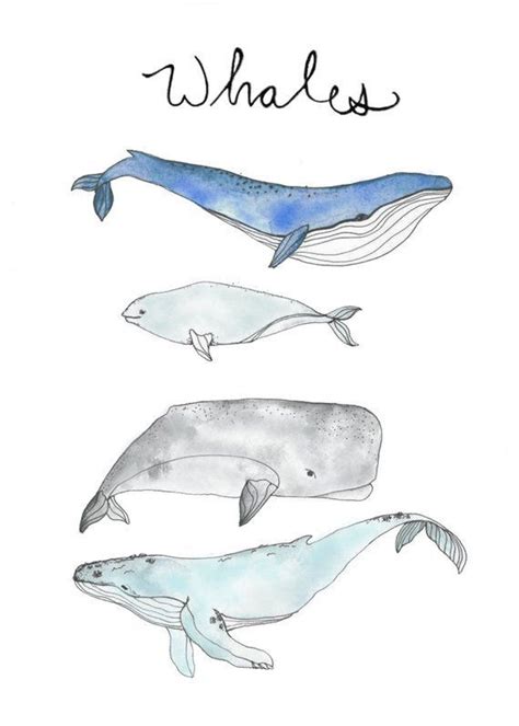 Whales Watercolor Printable Digital Download File - Etsy | Watercolor whale, Watercolor ...