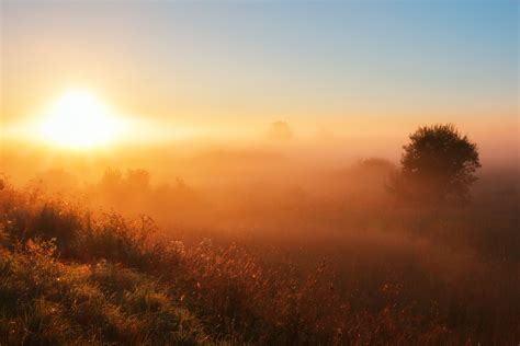 Fog Dawn Sunset 5k Wallpaper,HD Nature Wallpapers,4k Wallpapers,Images,Backgrounds,Photos and ...