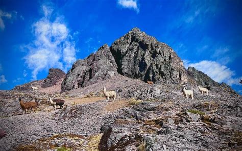 10 BEST HIKES IN THE ANDES MOUNTAINS | Sparrow Explorer Travel