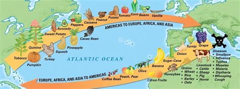 Columbian Exchange Map Drawing - The Columbian Exchange Is Known As The ...