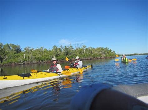 Florida Outdoor Adventures - Guided Everglades Kayak Tours (Everglades ...