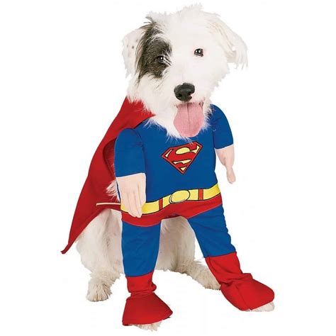 Superman Dog Costume - ThingsIDesire