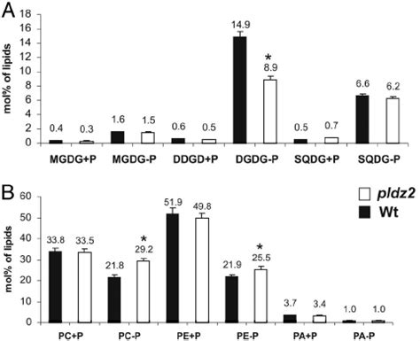 Total amounts of diverse glycerolipids in WT and pldz2 roots as a... | Download Scientific Diagram