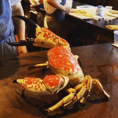 Tasmanian King Crab | 安心源 | Sonatural.hk | Hong Kong Seafood