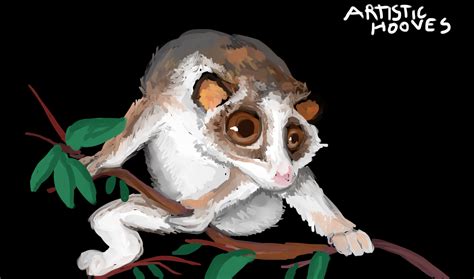 Gray slender loris — Weasyl