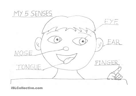 Free Five Senses Coloring Pages, Download Free Five Senses Coloring ...