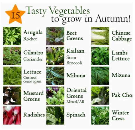 15 Frost Tolerant Vegetables For Fall | Homestead & Survival