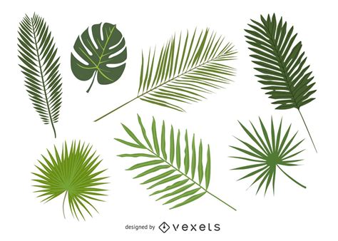 Palm Leaf Svg Free - 325+ SVG PNG EPS DXF in Zip File