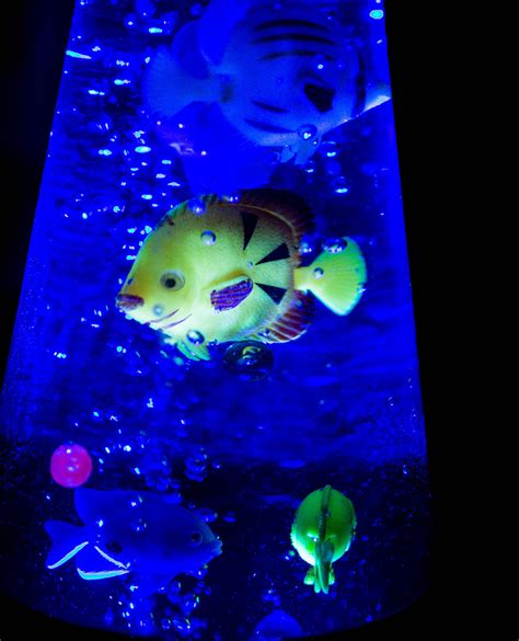 Lava Lamp Aquarium Review - With a Splash of Color