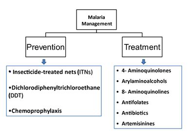 Current and future directions in the prevention and treatment of Malaria