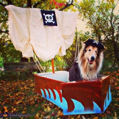 Pirate Dog in Pirate Ship Costume | Creative DIY Ideas