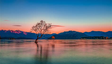 The Wanaka Tree at Sunrise by Angela Chong | Sunset photography ...