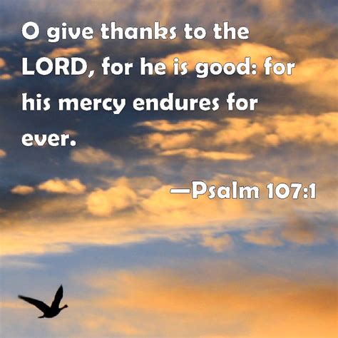 Psalm 107:1 O give thanks to the LORD, for he is good: for his mercy endures for ever.