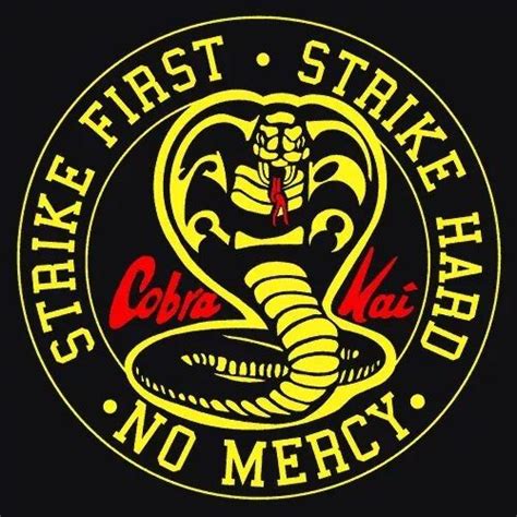 14 best Cobra Kai images on Pinterest | Kai, Martial arts and Combat sport