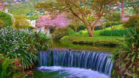 Waterfall in Park Full HD Fond d'écran and Arrière-Plan | 2560x1440 ...