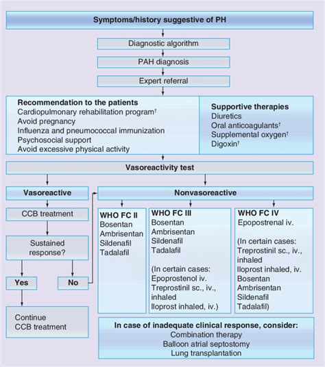 The actual treatment algorithm of pulmonary arterial hypertension ...