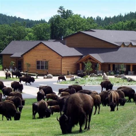 State Game Lodge at Custer State Park Resort in 2023 | Custer state ...