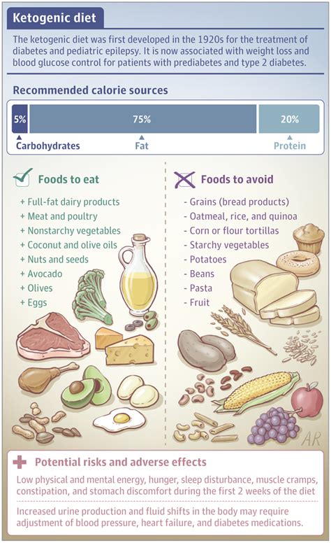 Ketogenic Diets | Ketogenic diet epilepsy, Ketogenic diet, Epilepsy children