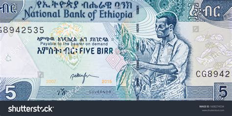 Ethiopia 5 Birr Banknote Ethiopian Currency Stock Photo 1608274534 ...