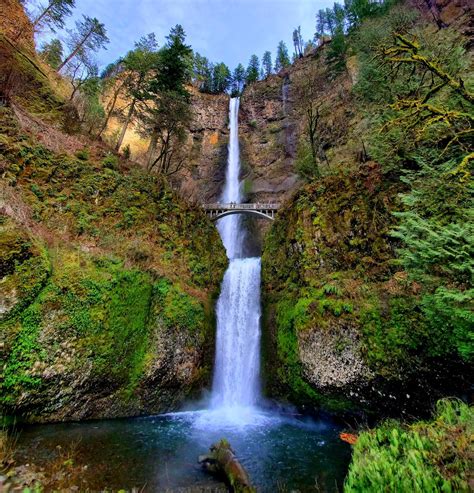 Half Day Columbia River Gorge Waterfalls Tour — Infinite Oregon Tours