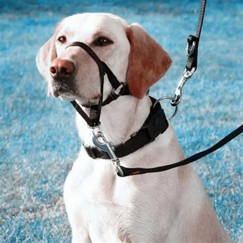 Aliexpress.com : Buy Pet Dog Head Collar Gentle Halter Leash Leader for Training Dogs Collar ...