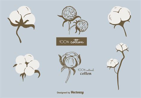 Free Cotton Plant Vector 104677 Vector Art at Vecteezy