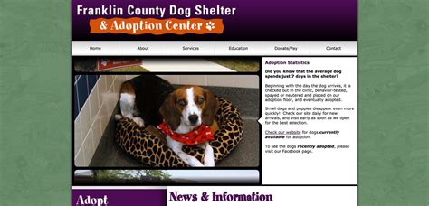 What Is Going On At The Franklin County Dog Shelter?