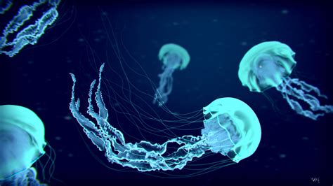 Jellyfish Stock Photos wallpaper | animals | Wallpaper Better