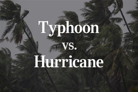 Typhoon vs. Hurricane: What's the Difference? | Reader's Digest