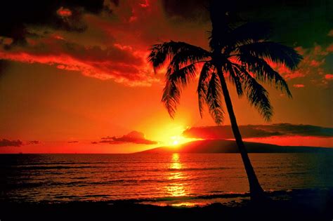 Hawaii sunset | Sunset beach, Manzara, Doğa fotoğrafları