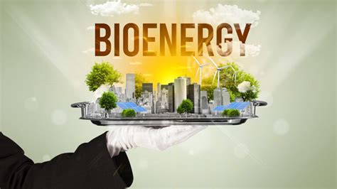 Bioenergy – Energy from biomass | Renewable Energy Sources (RES)