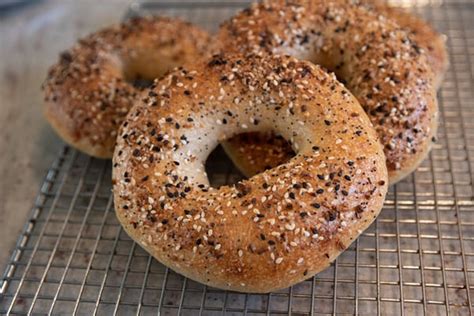 Small-Batch Bagel Shop Coming to Albany