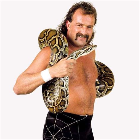 Jake the Snake | Jake the snake roberts, Wcw wrestlers, John cena wrestling