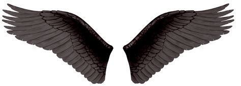 Wings PNG