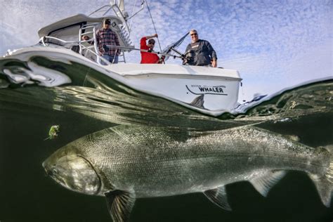 Fishing Nootka Sound: Big Fish & Bigger Tales Await • BC Outdoors Magazine