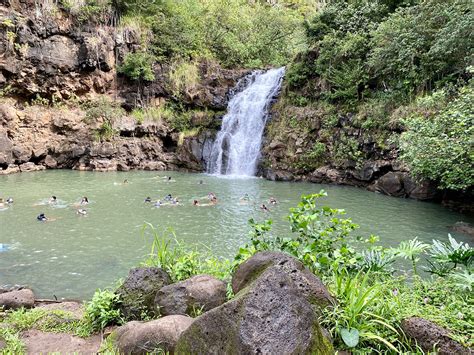 Our family guide: the Waimea Valley in O’ahu – Alex Leoshko