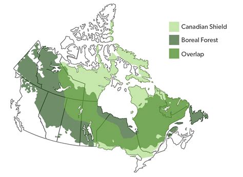 Le Bouclier canadien et la forêt boréale | Boreal forest, 50th birthday, Overlap