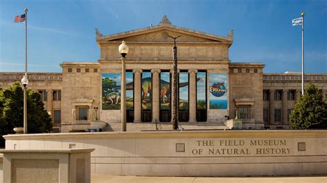 18 Best Museums in Chicago | Condé Nast Traveler