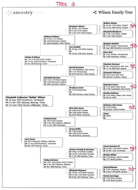 A William Wilson Family Tree (1700-1900)