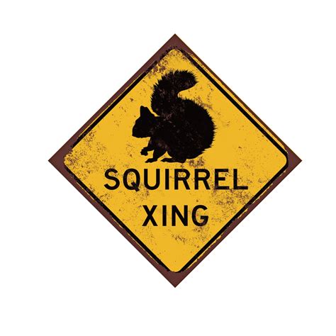 Squirrel Crossing Caution Sign Funny Backyard Squirrel Sign - Etsy