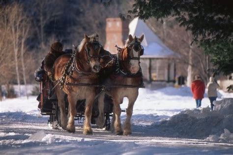 Nestlenook Farm - Sleigh Rides, Ice Skating | Sleigh ride, New england ...