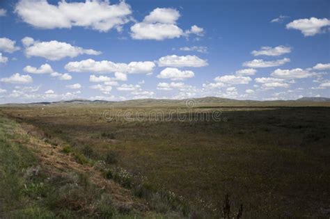 View of Great Kazakh Steppe Stock Photo - Image of grassy, bright: 79017990