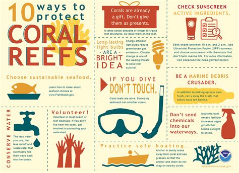 What can I do to protect coral reefs?