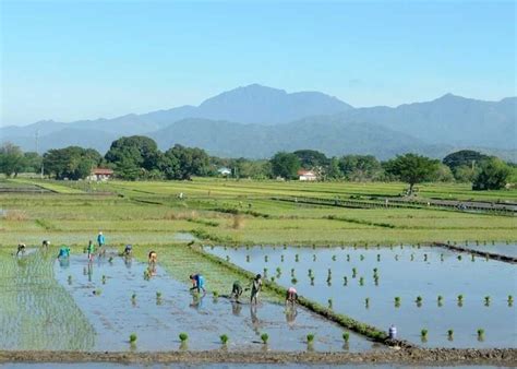 Tourist attractions sa Gapan, Nueva Ecija ipinasara! | Pilipino Star Ngayon